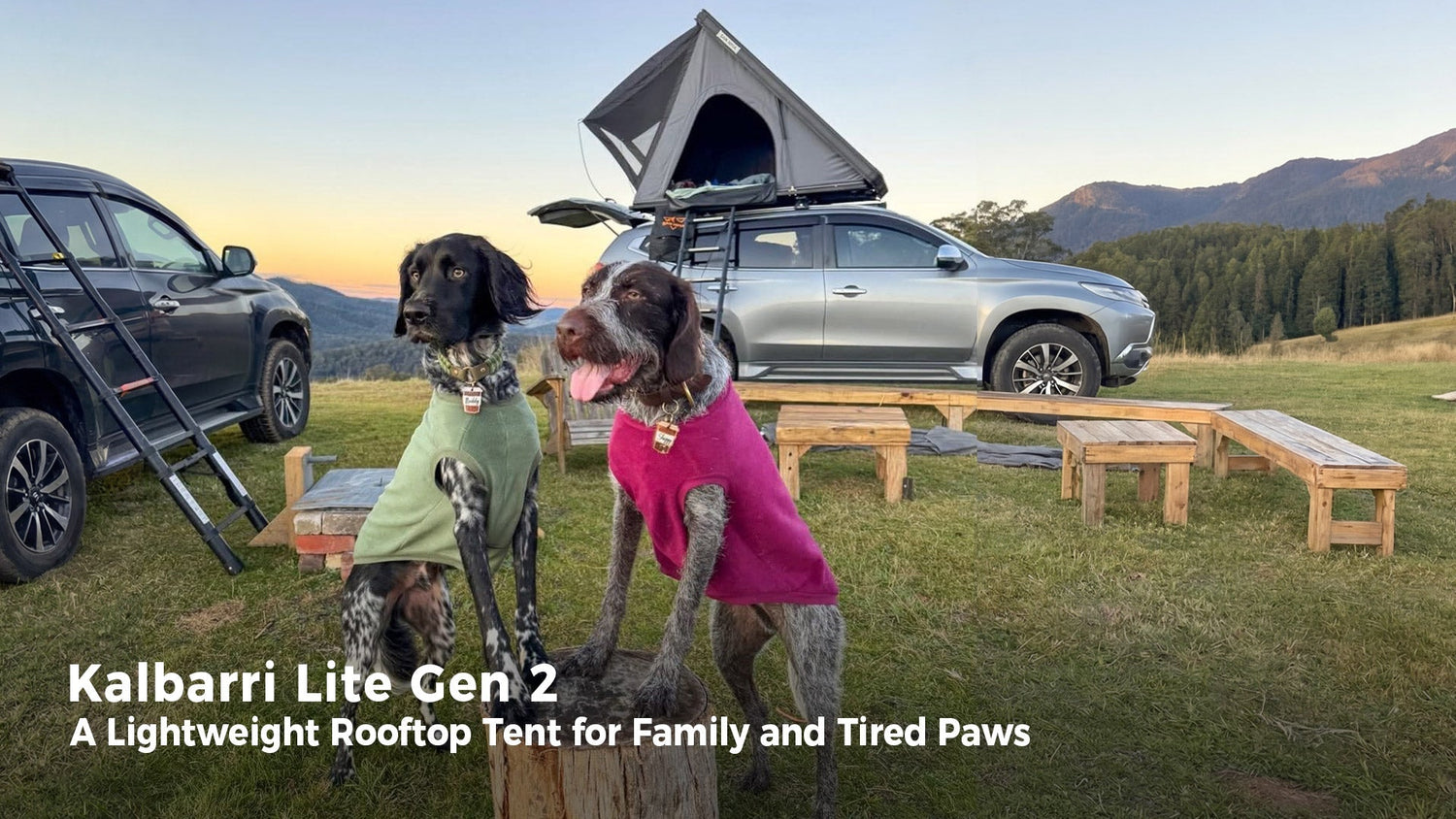 Lightweight Rooftop Tent Setup for Family Camping and Tired Paws