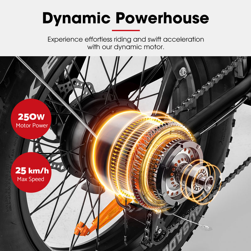 VOR 20 inch Folding Electric Bike 250W Brushless Shimano 4 inch Fat Tires 7 Speed Black